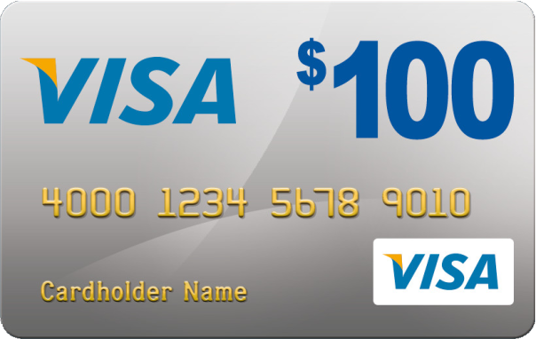 100 dollar visa bill